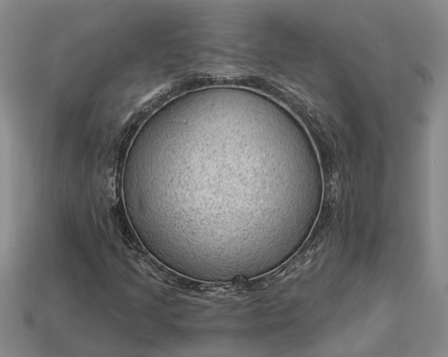 X0000112981205200909101707