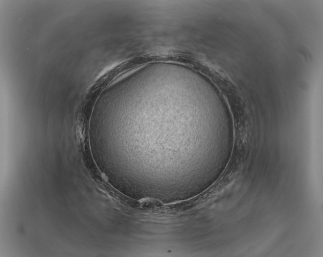 X0000112981206200909101707