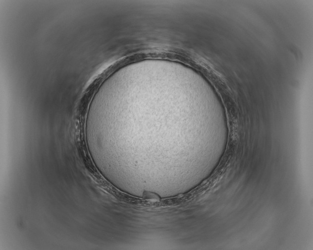 X0000112981208200909101707