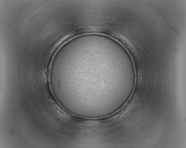 X0000112981212200909101707