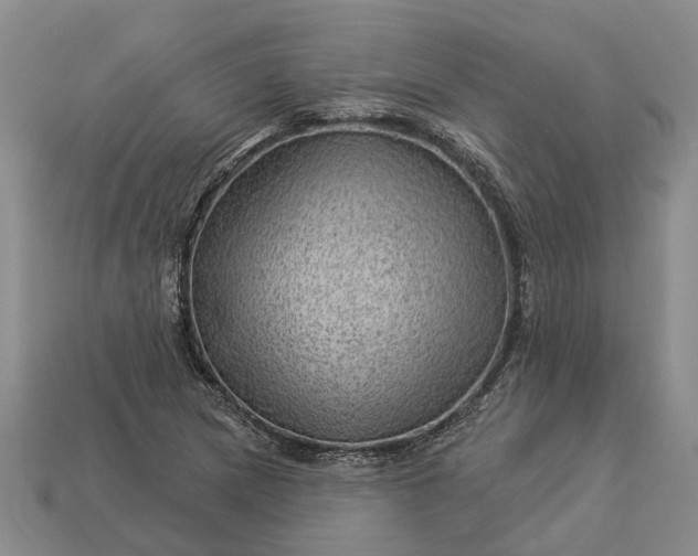 X0000112981217200909101707