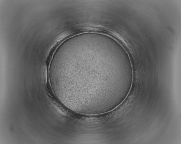 X0000112981219200909101707