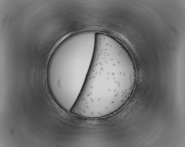 X0000112981220200909101707