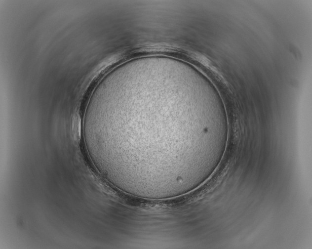 X0000112981221200909101707