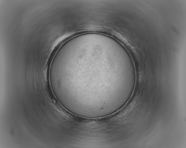 X0000112981222200909101707