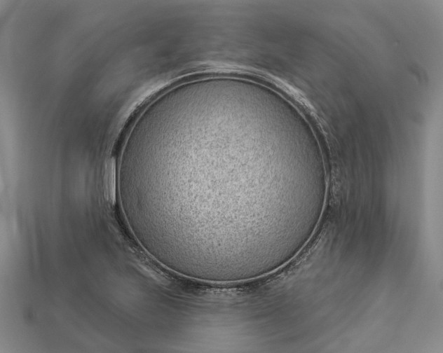 X0000112981223200909101707