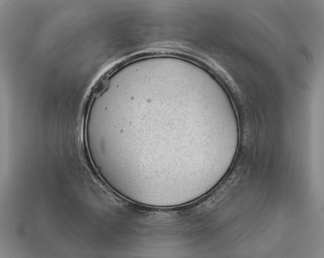 X0000112981224200909101707