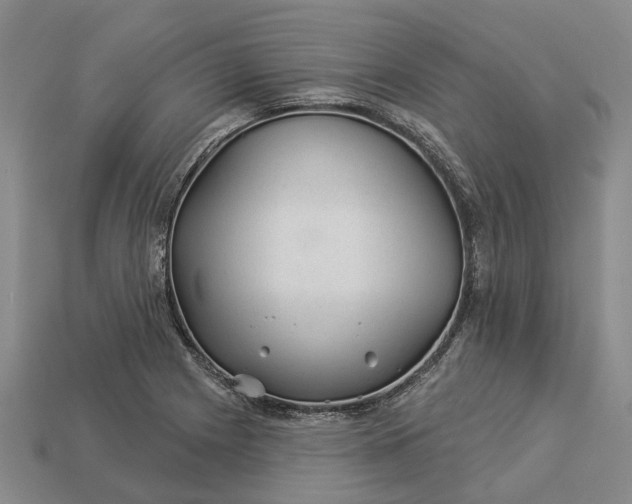 X0000112981225200909101707