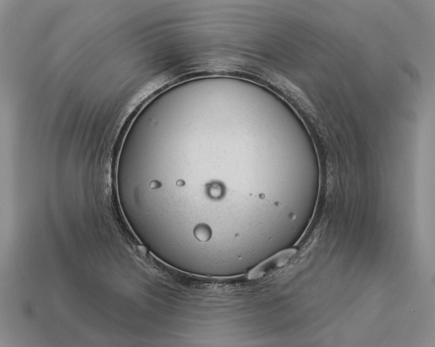 X0000112981226200909101707