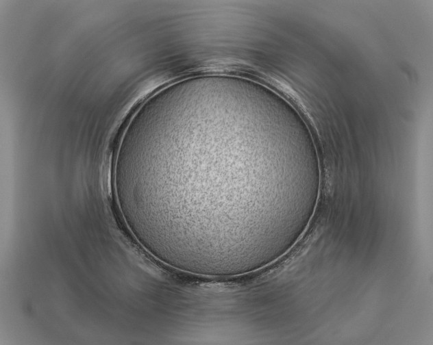 X0000112981227200909101707