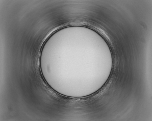 X0000112981228200909101707