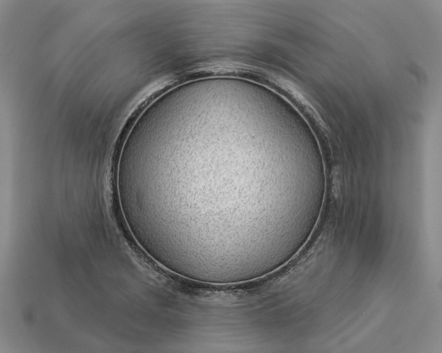 X0000112981229200909101707