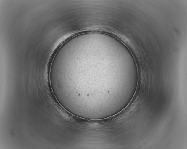 X0000112981230200909101707