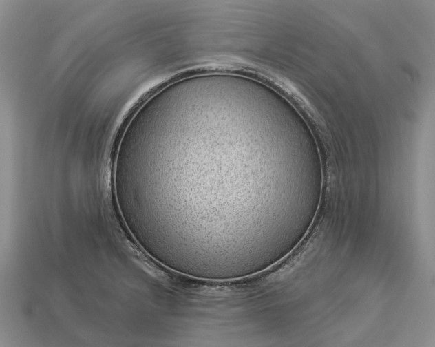 X0000112981232200909101707