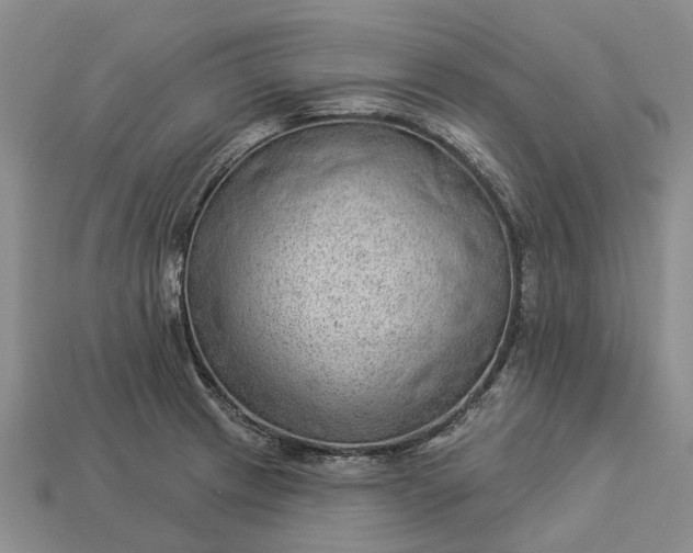 X0000112981233200909101707