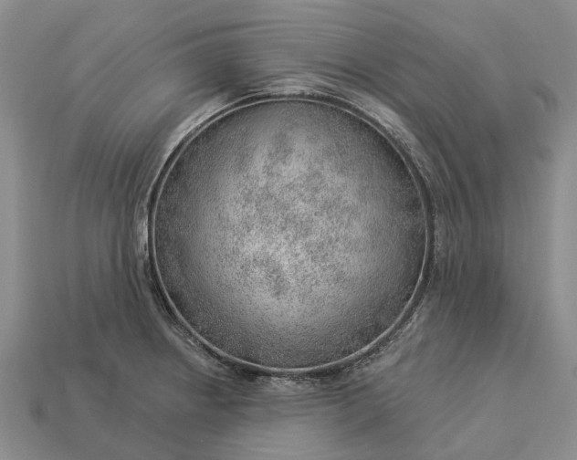 X0000112981234200909101707