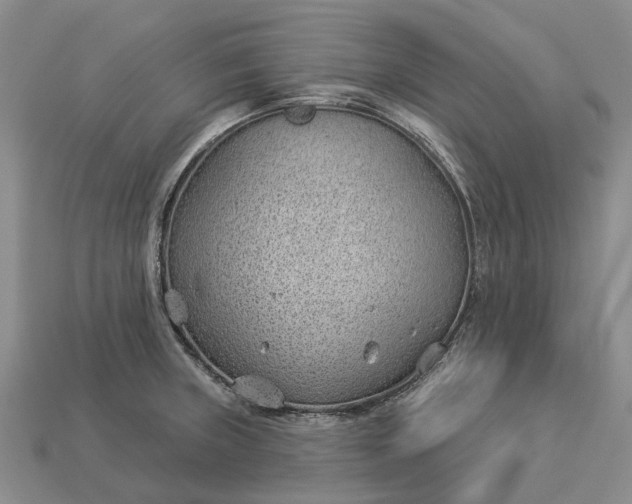 X0000112981235200909101707