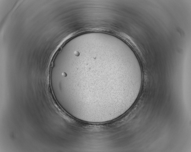 X0000112981236200909101707