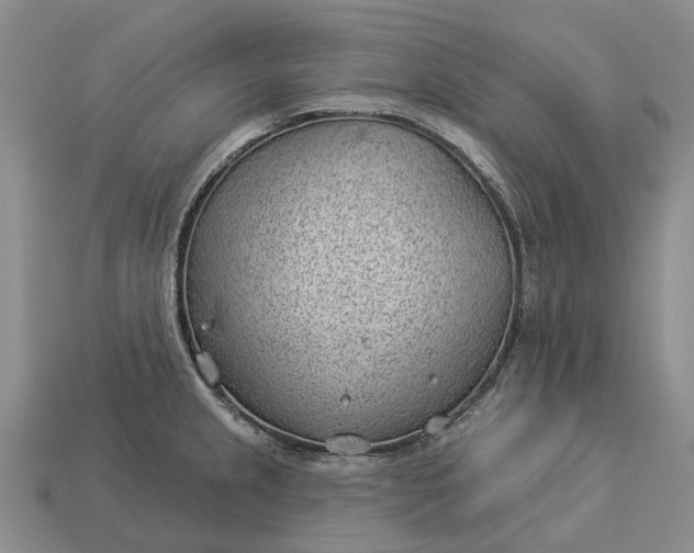 X0000112981237200909101707