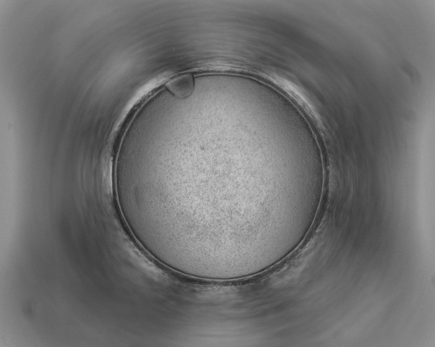 X0000112981238200909101707