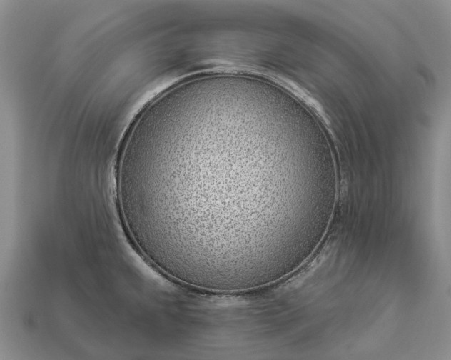 X0000112981239200909101707