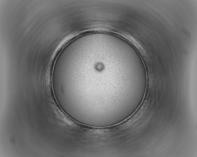 X0000112981240200909101707