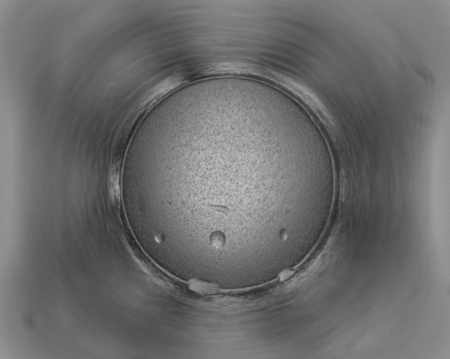 X0000112981241200909101707