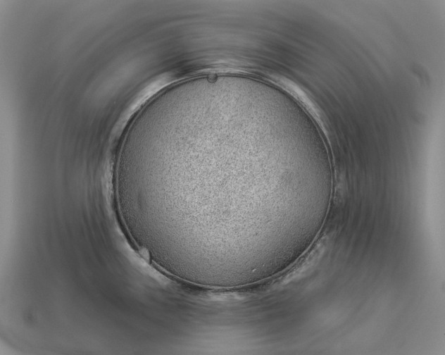 X0000112981243200909101708