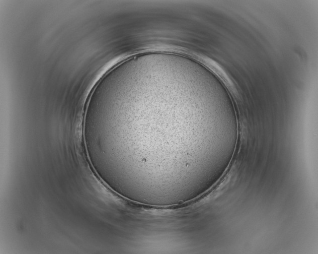 X0000112981244200909101708