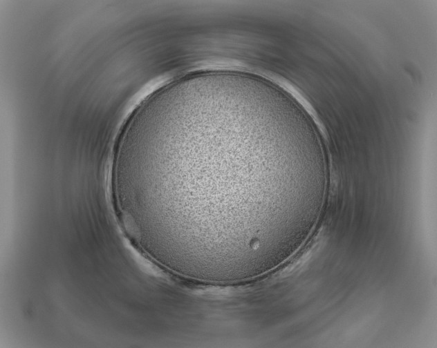 X0000112981245200909101708