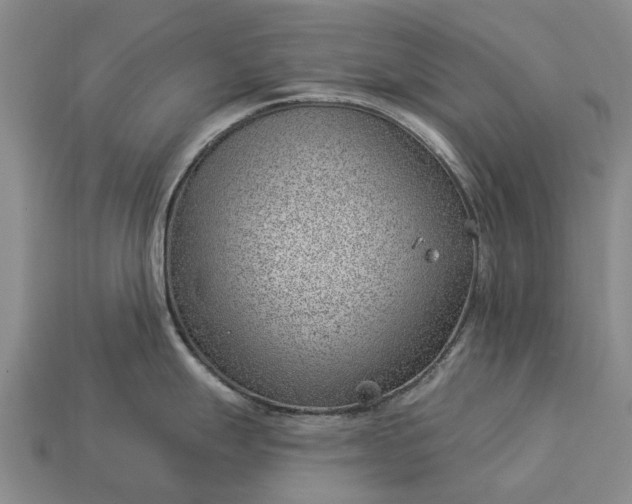 X0000112981247200909101708