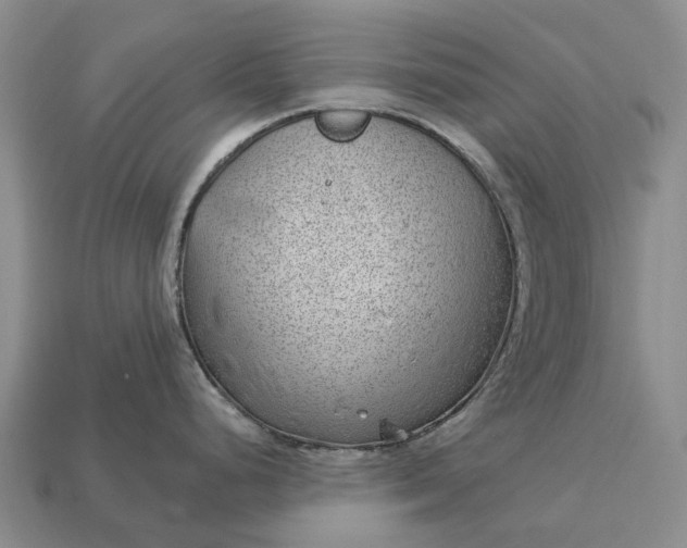 X0000112981248200909101708