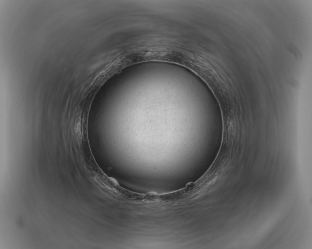 X0000112981250200909101707