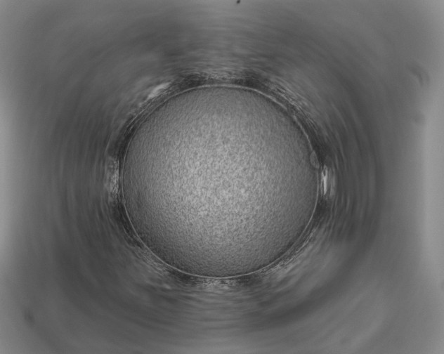 X0000112981251200909101707