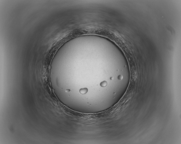 X0000112981253200909101707