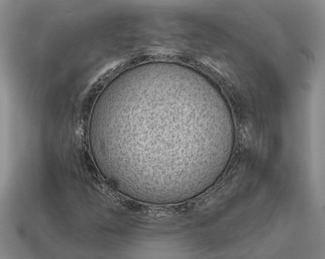 X0000112981254200909101707