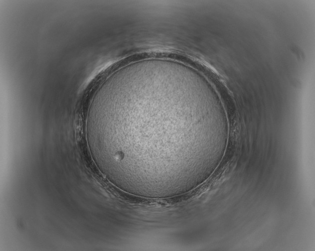 X0000112981255200909101707