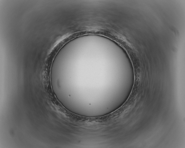 X0000112981256200909101707