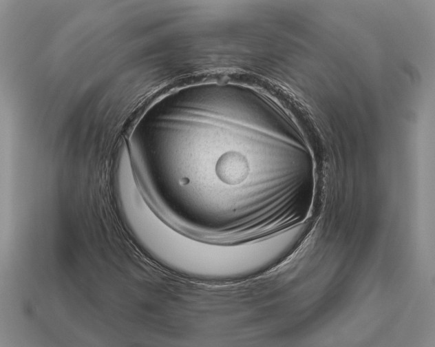 X0000112981257200909101707