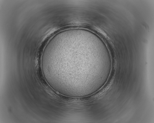 X0000112981259200909101707