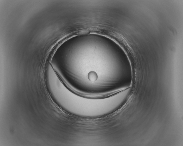 X0000112981260200909101707