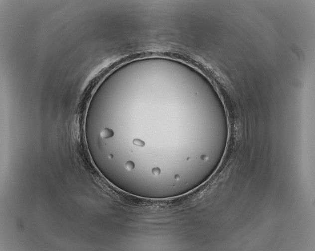 X0000112981262200909101707