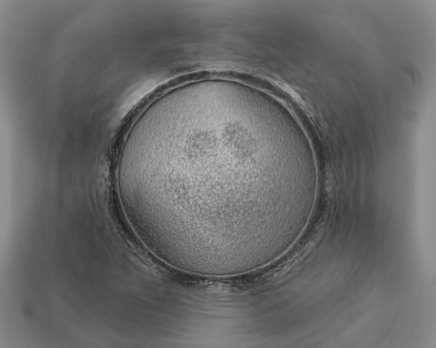 X0000112981263200909101707