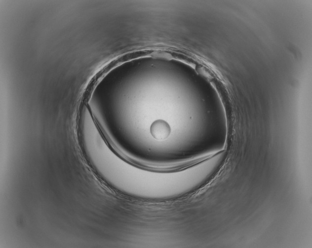 X0000112981264200909101707