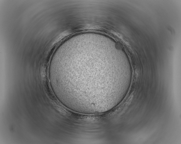 X0000112981266200909101707