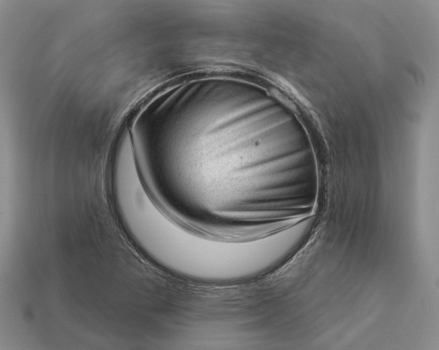 X0000112981269200909101707