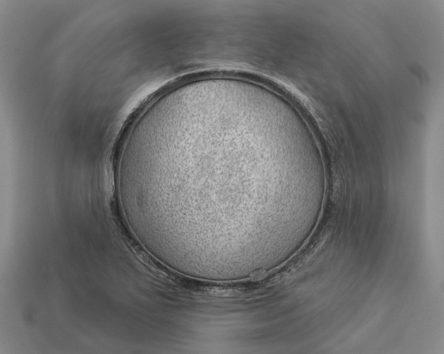 X0000112981271200909101707