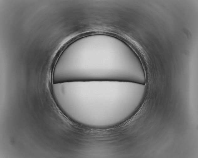 X0000112981272200909101707