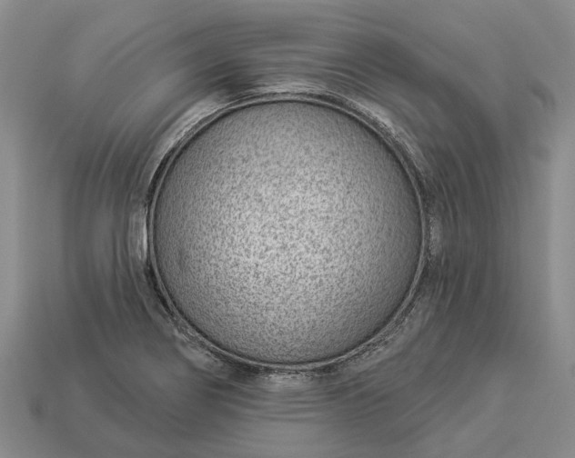 X0000112981274200909101707