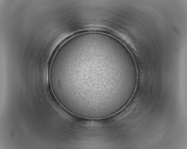 X0000112981275200909101707